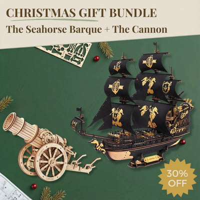 The Seahorse Barque