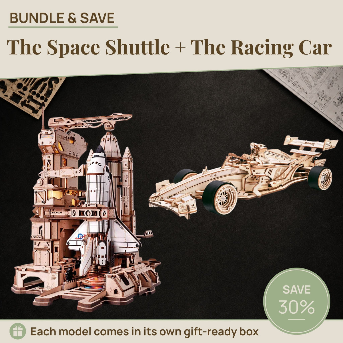 The Space Shuttle