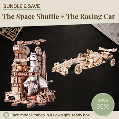 The Space Shuttle