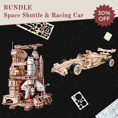 The Space Shuttle
